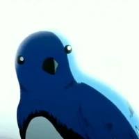 chim 🐦