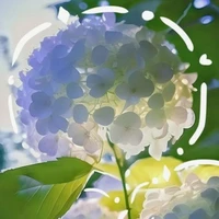 All