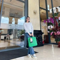 Ninh Dương Lan Anh