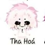 Hiha Tha Hoá