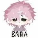 hiha BNHA