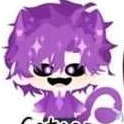 hiha capnat