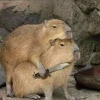 [Tất cả pokemon của frieren]