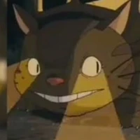Xe buýt mèo