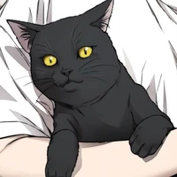 Mèo (Jack )