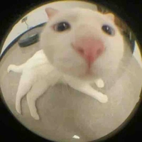 Tui là tác giả 😇