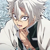 Shinazugawa Sanemi