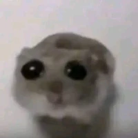 ？？？