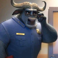 Cảnh Sát Trưởng Bogo