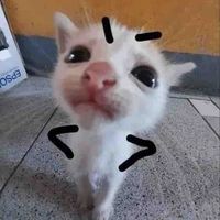 Tác giả bị khùng