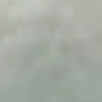 all( trừ những người cần đc trừ)