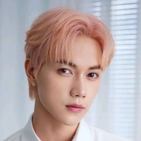 Nguyễn Thái Sơn-Jsol