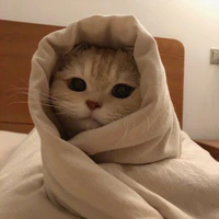 bí ý tưởng gòiiii
