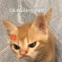 hệ thống [1203]