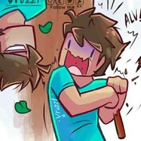 Steve(GVNgữV)
