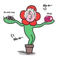 T/G