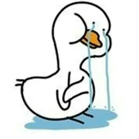 Coan Vẹt (Hệ Thống Hóng Drama Của TG)