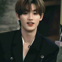 Đinh Trình Hâm (anh)