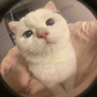 ?