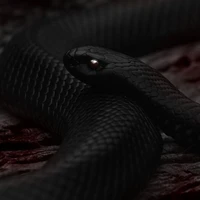 Black Mamba [Kino]
