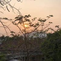Cả lớp
