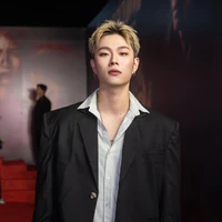 dương domic