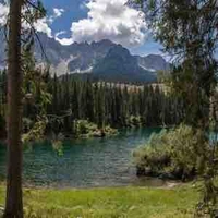 All đứa cần có