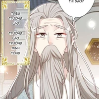 triệu trường lão (t. minh tông)