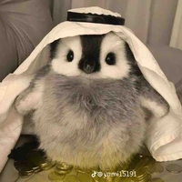 Tác giả lại rảnh 