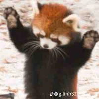 Ɠ_Ɗ𝚛𝑎𝘨𝓸𝓷 ∩^ω^∩