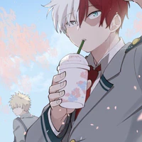 Todoroki Shouto