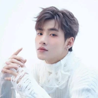 Gemini Hùng Huỳnh