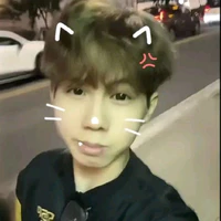Hữu Đạt_Phoenix