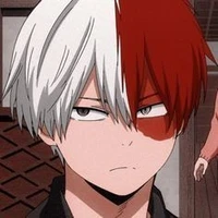 Shoto Todoroki