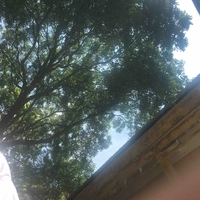 Bọn trẻ