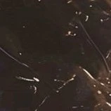 •-•