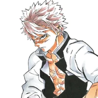 Shinazugawa Sanemi