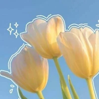 t/g bị cug khòn