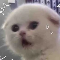 cân mọi vai diễn