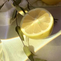 Chanh Vỏ Vàng 🍋 [Dẫn Truyện]