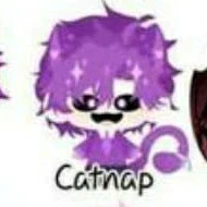 hiha catnap