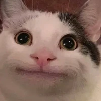 Mẫn:3