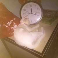 Tao ctrai! Nhỏ nào bảo gái tao giãy