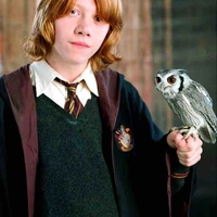 Ron Weasley 