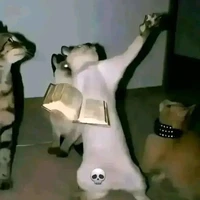 Tg xà lơ