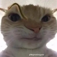 t/g
