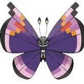 Vivillon ( Shi )
