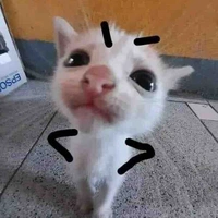 tgia dz vô cùng tận