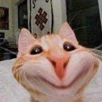 T/G
