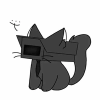 Anxy 